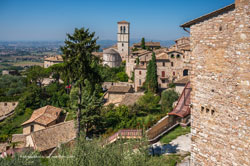 assisi